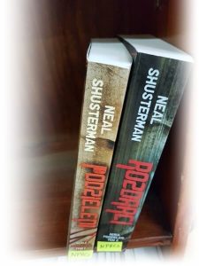 podzieleni_i_rozdarci